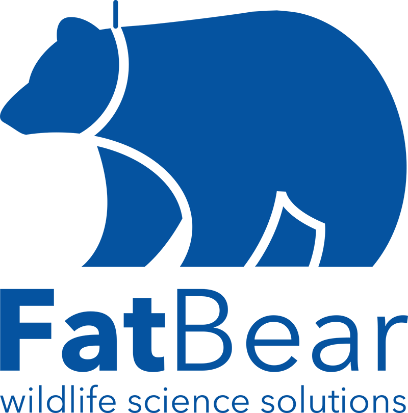 Fatbear