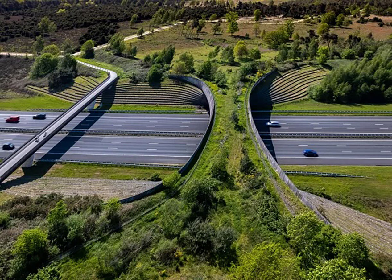 Analyse des facteurs spatio-temporels des mortalités routières en Lituanie